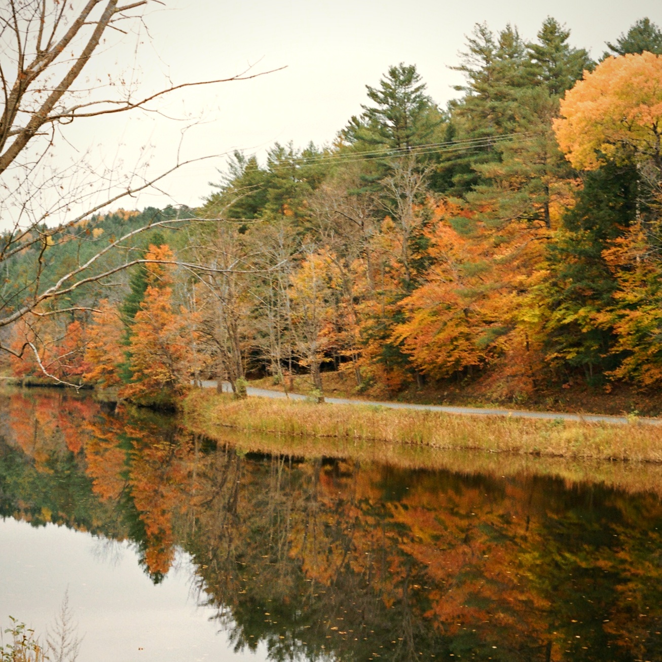 Autumn fall foliage lake mirror reflection New England — landscape film photography