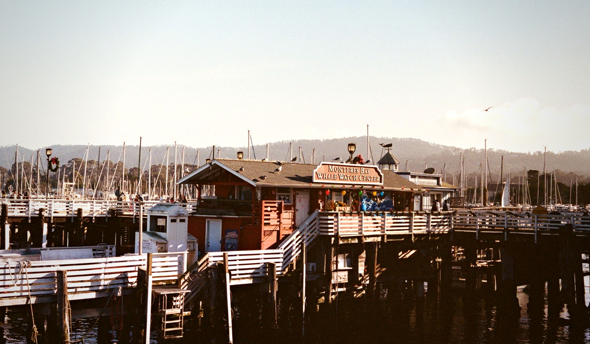 Monterey Bay Whale Watch pier golden hour harbour California — coastal travel film photography