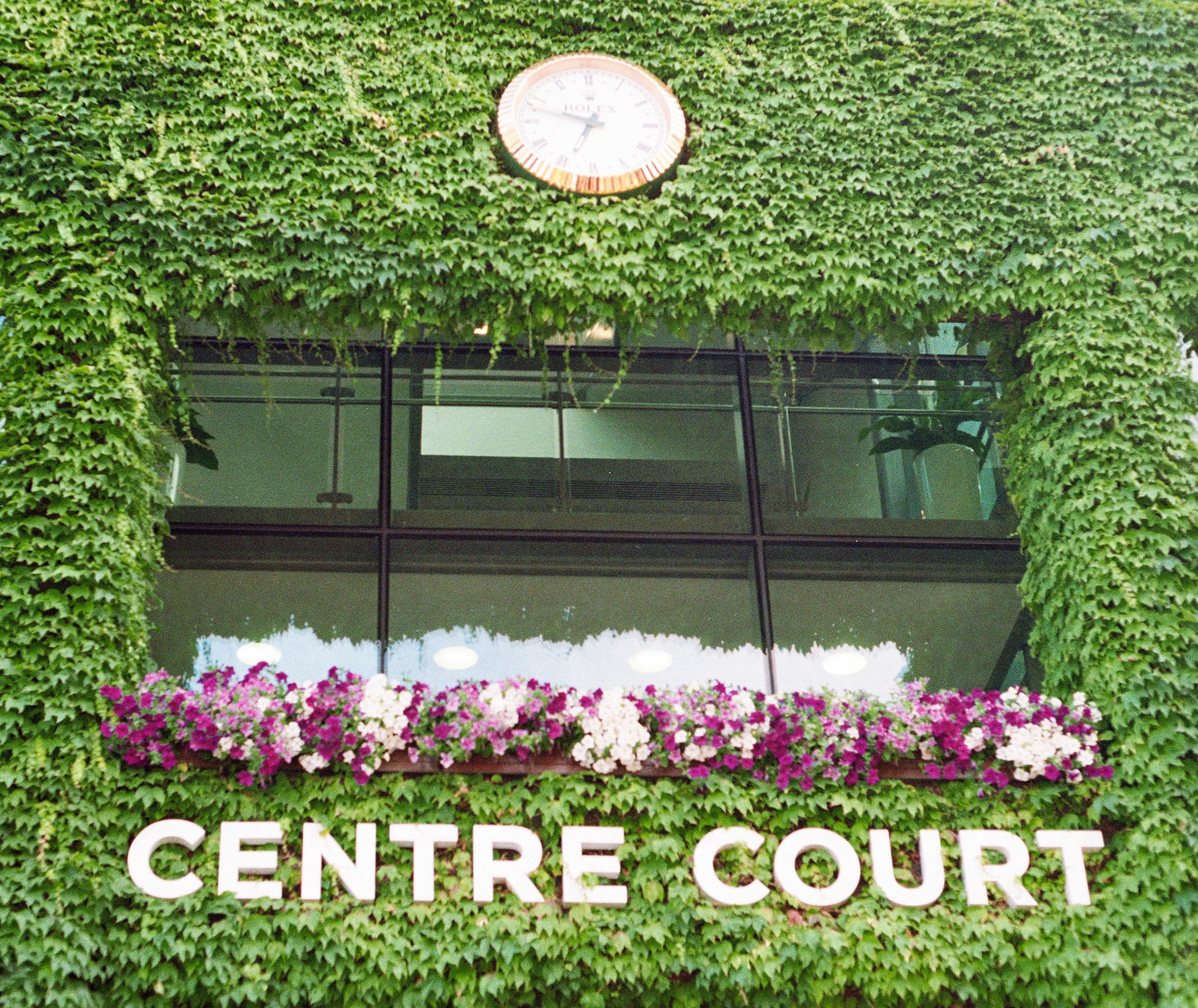 A clock set into a dense ivy wall above a window box of petunias.